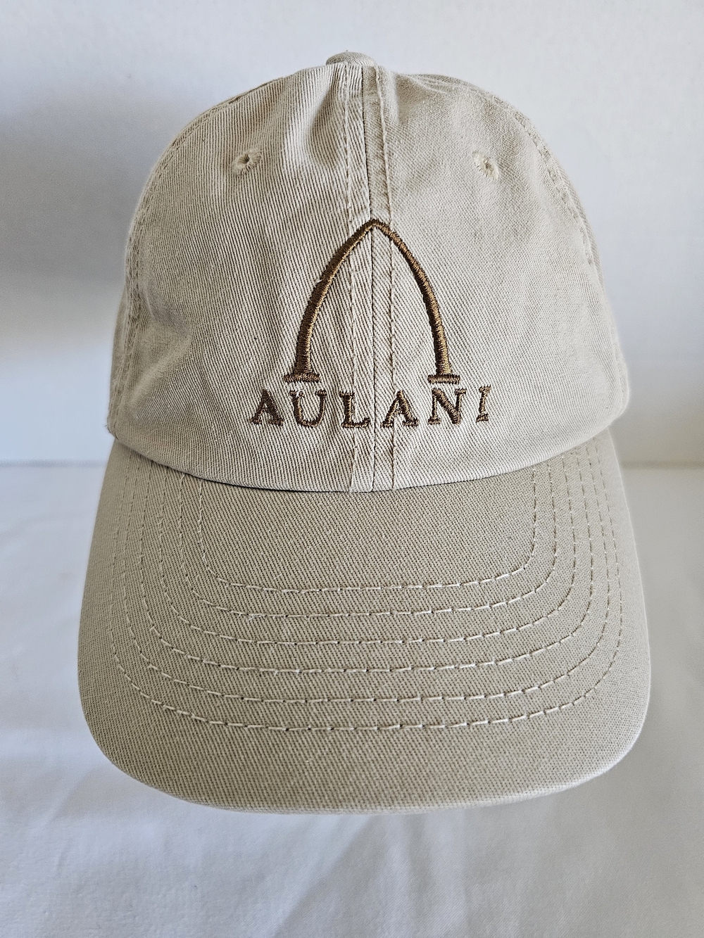 Disney Resort Spa Aulani Hawaii Exclusive Merch Tan Hat Vacation Dad Adjustable